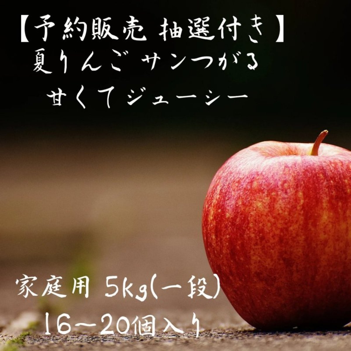 【予約販売+抽選付き】なつりんご　サンつがる（8月収穫/8月出荷予定）ご家庭用　５kg（16〜20個　一段）