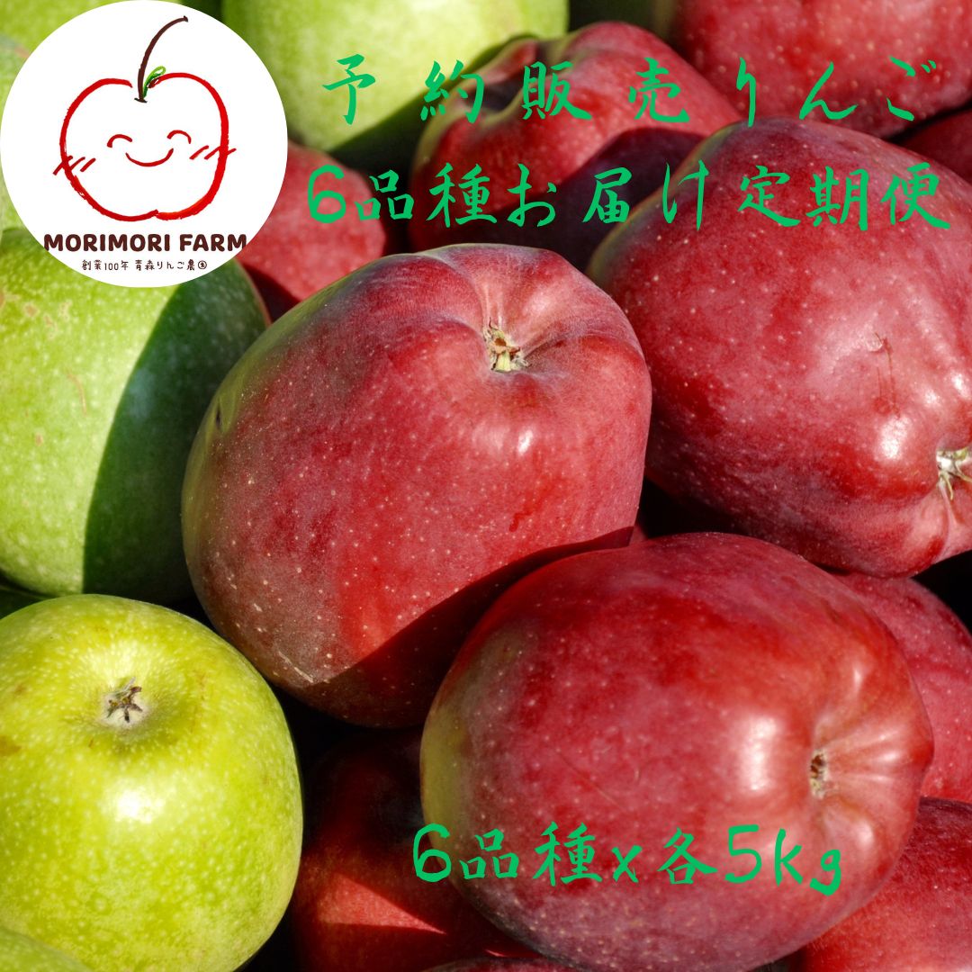 予約販売】りんご6品種お届け定期便