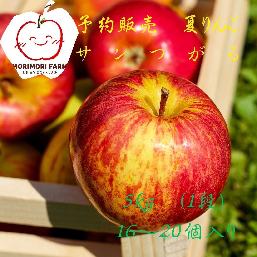 なつりんご様 予約販売】なつりんご サンつがる（8月収穫/8月出荷予定）ご家庭用