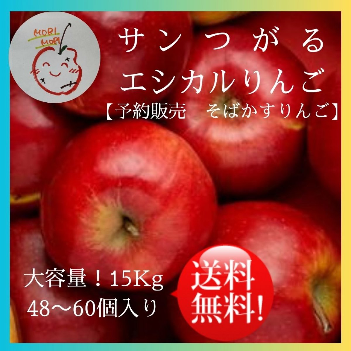 【送料無料！！エシカルりんご大容量 予約販売】　サンつがる　そばかすりんご  15kg(48〜60個入り)