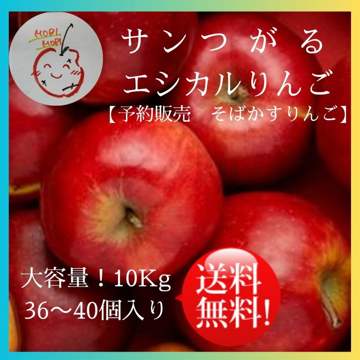 【送料無料！！エシカルりんご大容量！！予約販売 】　サンつがる　そばかすりんご  10kg(32〜40個入り)