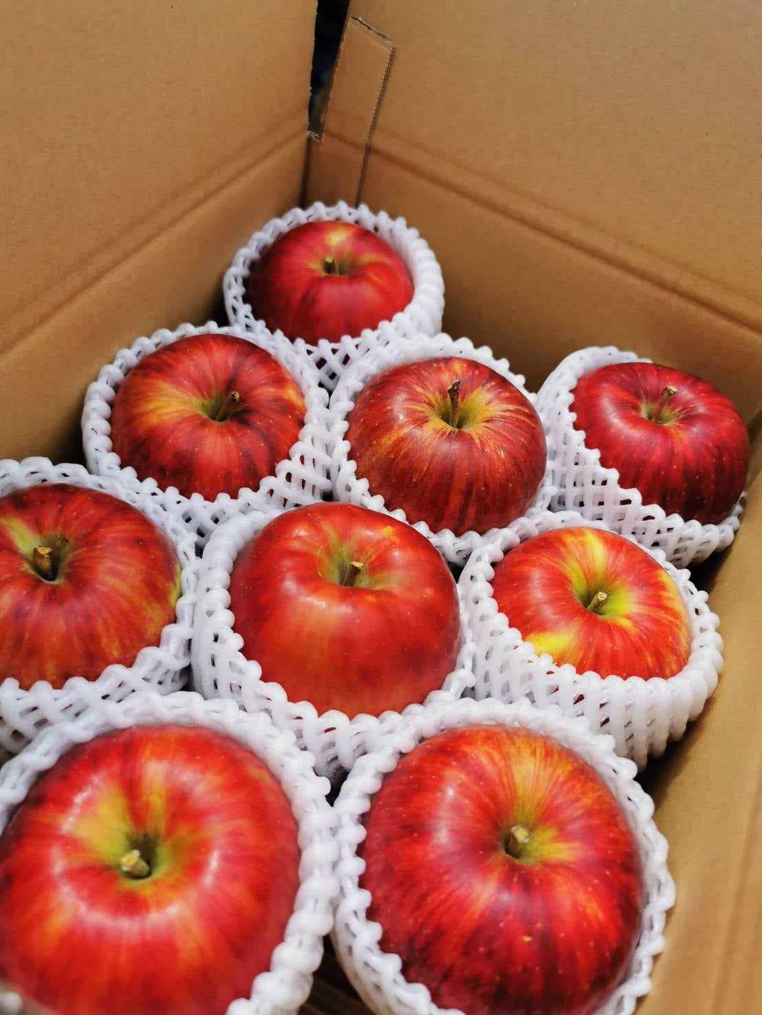 サンふじ3kg（一段）ご家庭用