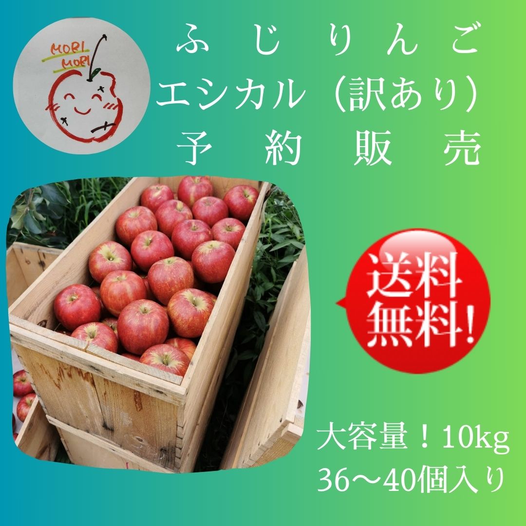 送料込み！！エシカルりんご大容量！！予約販売 】 品種ふじ