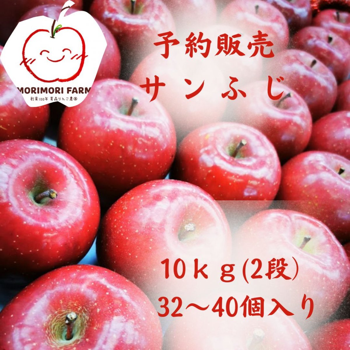 【予約販売】サンふじ（１１月中旬〜）ご家庭用　10kg（二段）