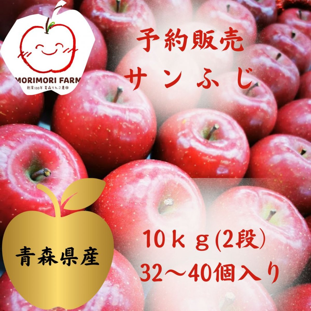 【予約販売】サンふじ（１１月中旬〜）ご家庭用　10kg（二段）