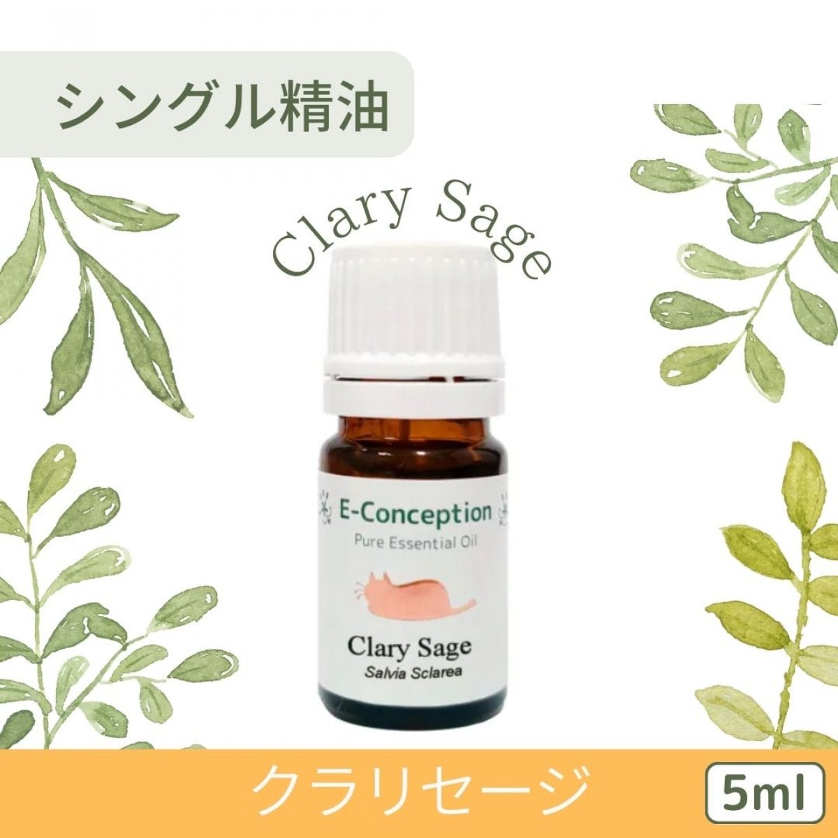 クラリセージ【精油】5ml　イーコンセプション　アロマテラピー