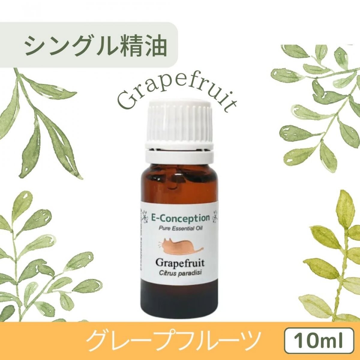 グレープフルーツ【精油】10ml　イーコンセプション　アロマテラピー
