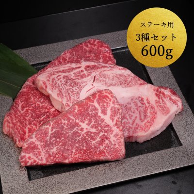 愛知県産　黒毛和牛　ステーキ3種セット[600g]