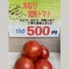 【店頭受渡】木なり完熟トマト