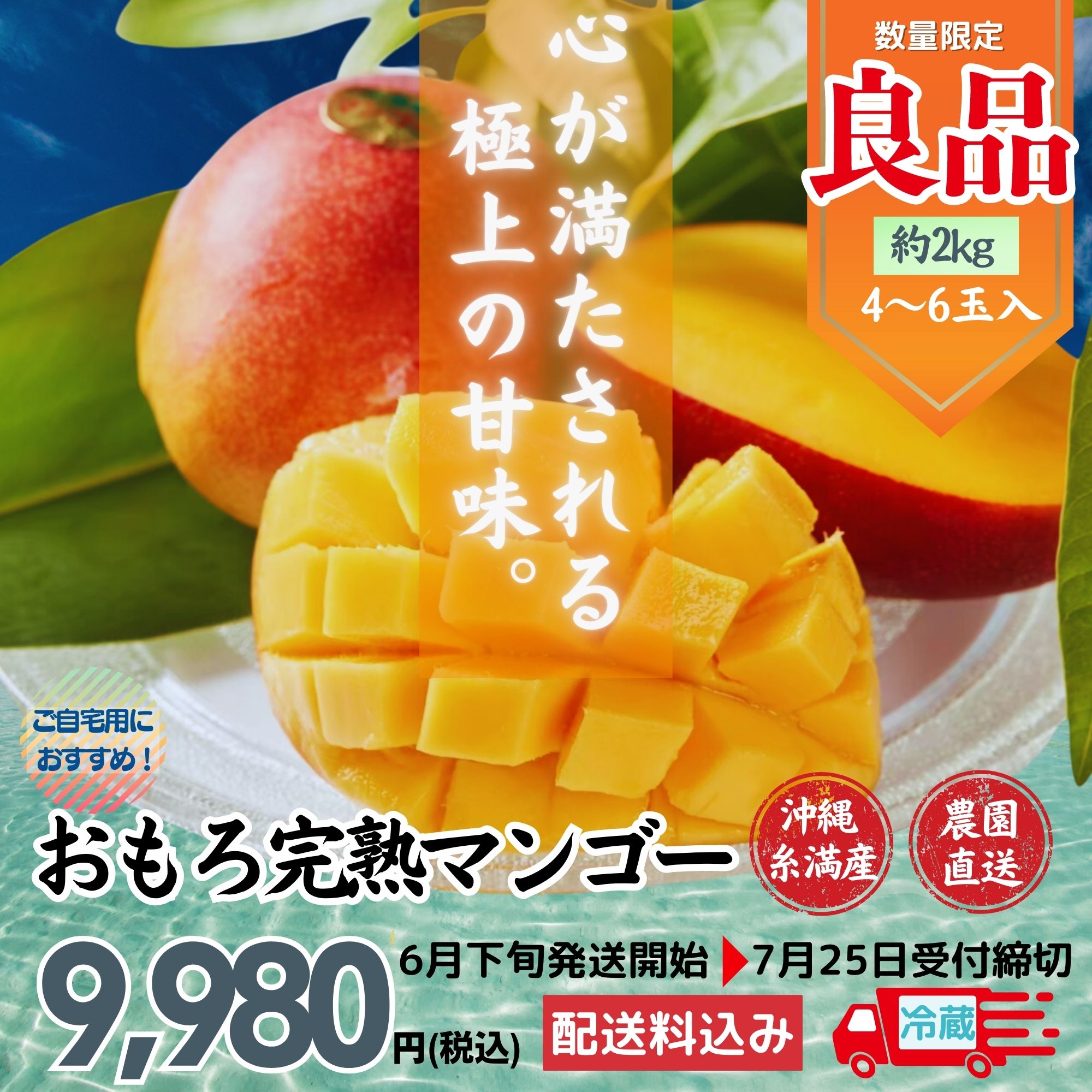 【先約期間限定価格】沖縄産地直送クール便込！【完熟マンゴー】2Kg(4~6玉)