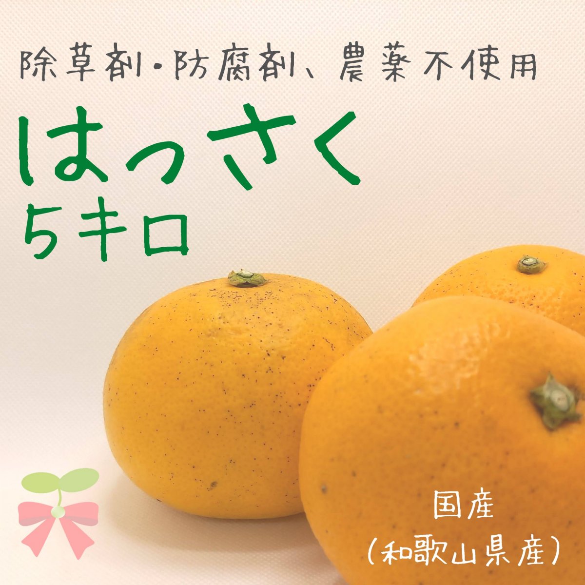 【通販限定】国産　防腐剤・除草剤不使用　　わけあり！八朔（はっさく）　5キロ　　送料無料