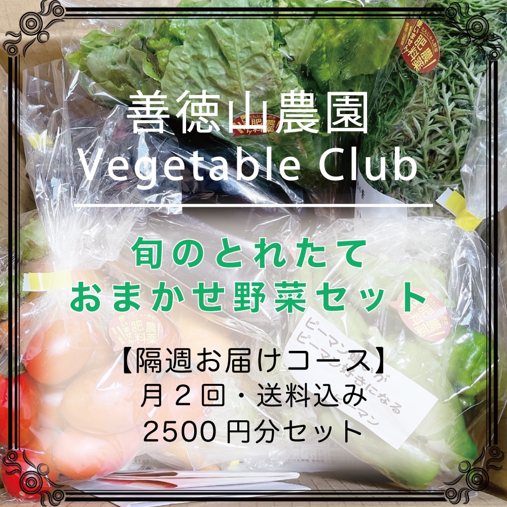 くつろぎカフェタイム 【無農薬】お野菜詰め合わせ 通販