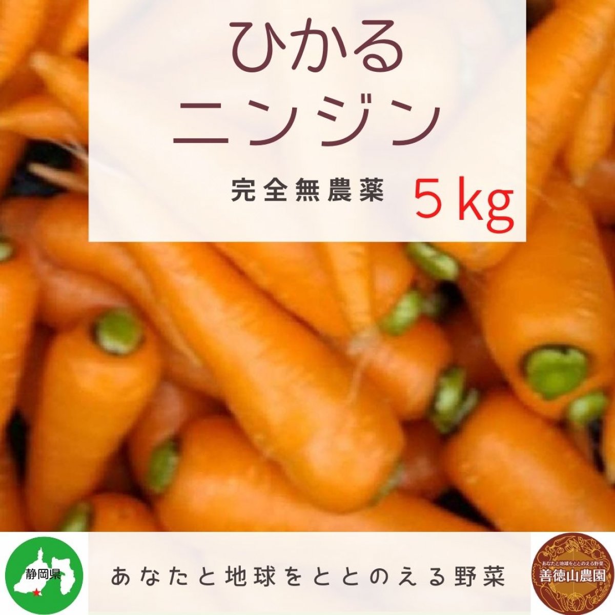 ひかるニンジン５キログラム