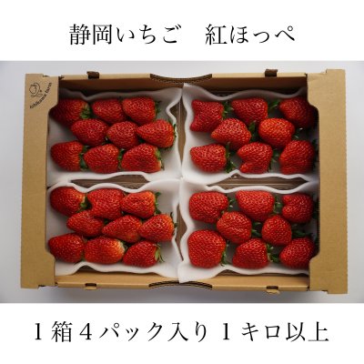 静岡いちご 紅ほっぺ(1箱:4パック※1.2キロ以上)|いちかわ農園