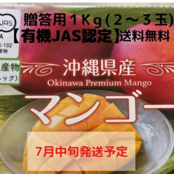 【※送料無料】【ギフト用1㎏】沖縄産完熟アップルマンゴー　2〜3玉　〜農薬不使用・有機栽培〜