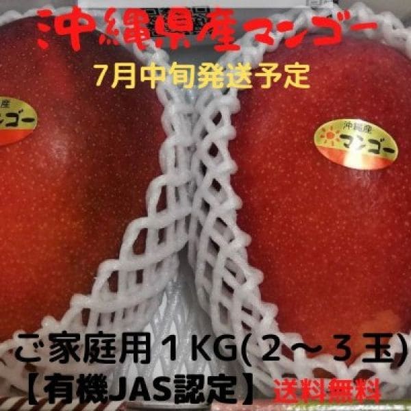 【※送料無料】【ご家庭用1㎏】沖縄産完熟アップルマンゴー　2〜3玉　〜農薬不使用・有機栽培〜