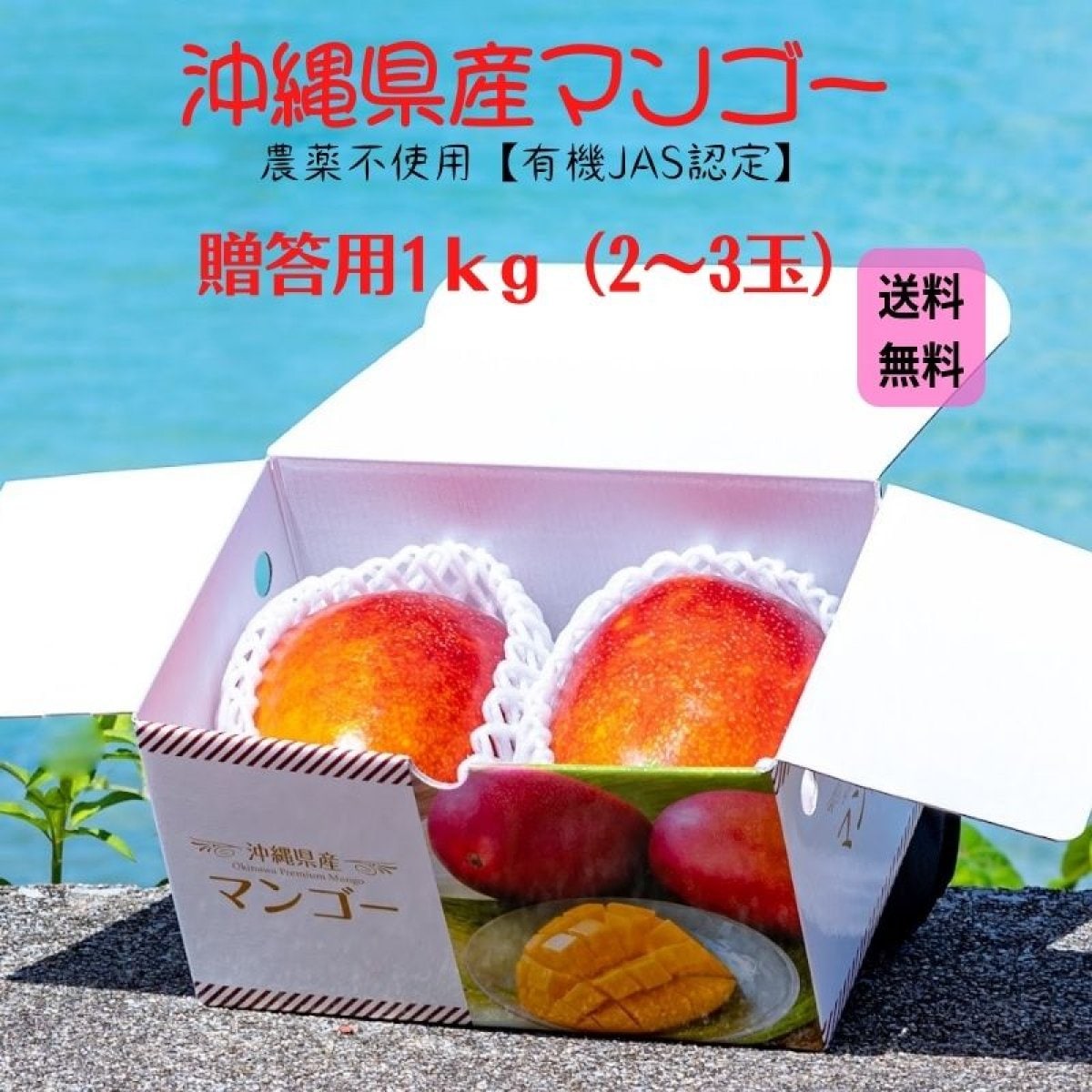【※送料無料】【ギフト用1㎏】沖縄産完熟アップルマンゴー　2〜3玉　〜農薬不使用・有機栽培〜