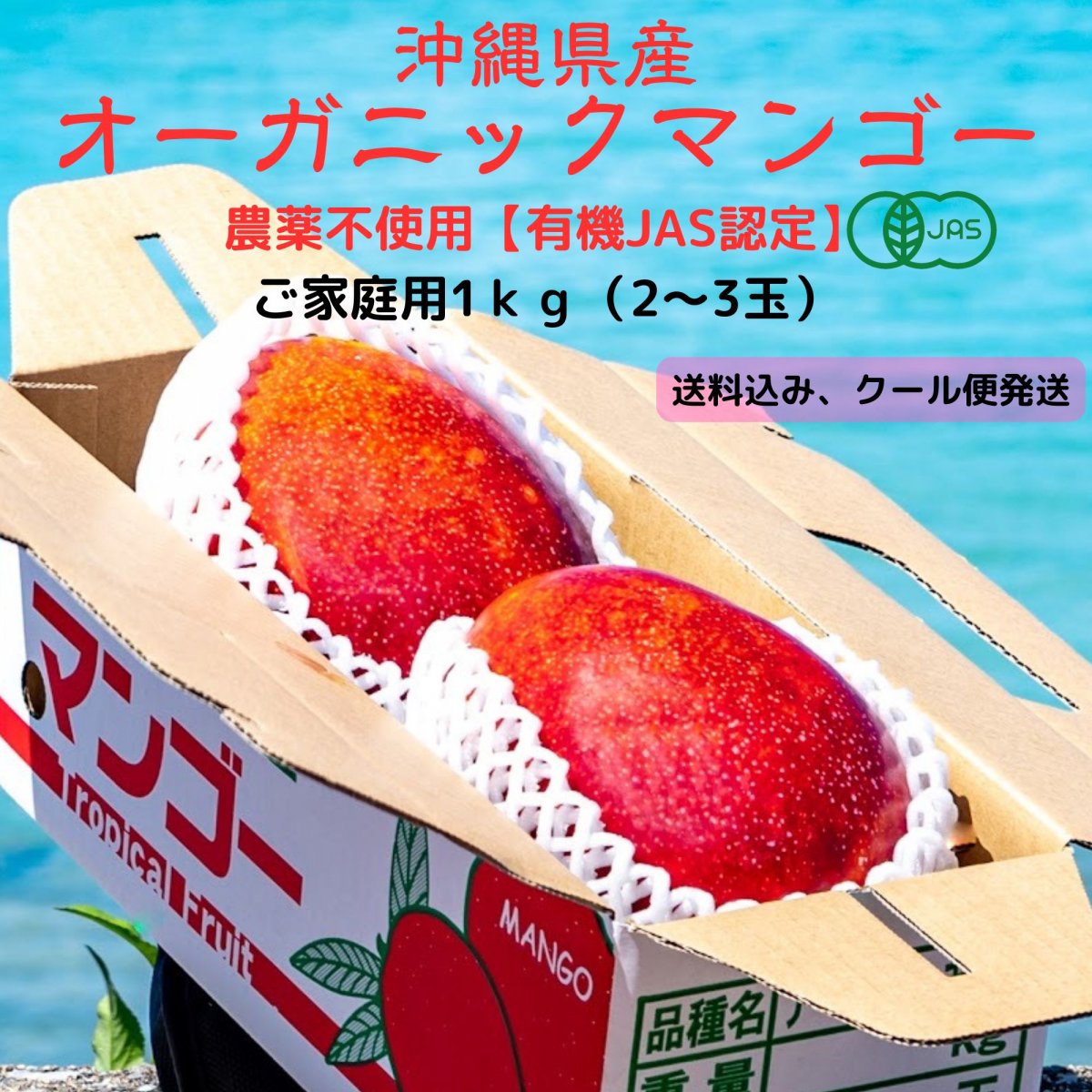 沖縄産、農薬不使用、有機栽培マンゴーをお届けする松田農園