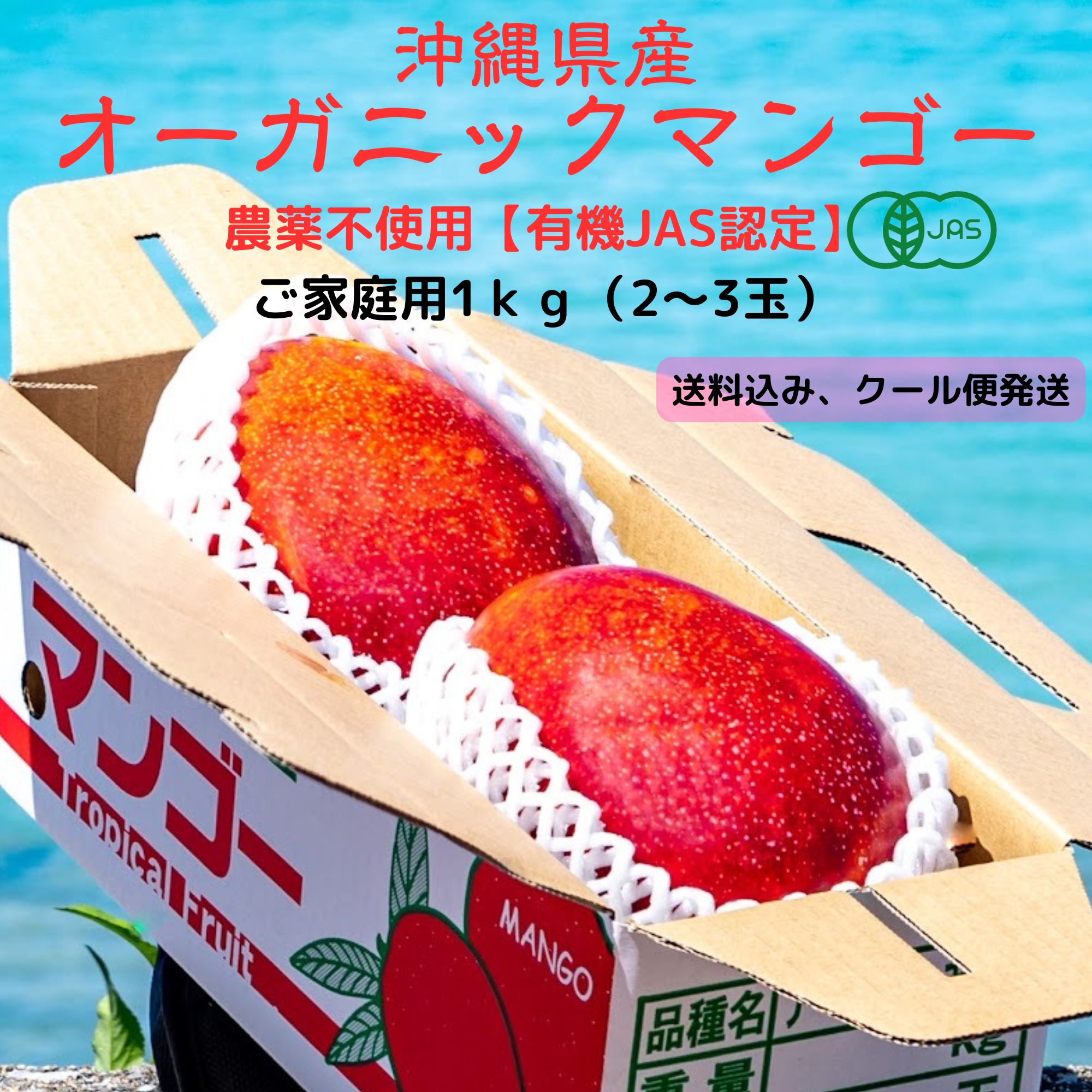 摘果マンゴー 10kg(箱込み) 宮古島産摘果青グリーンマンゴー10