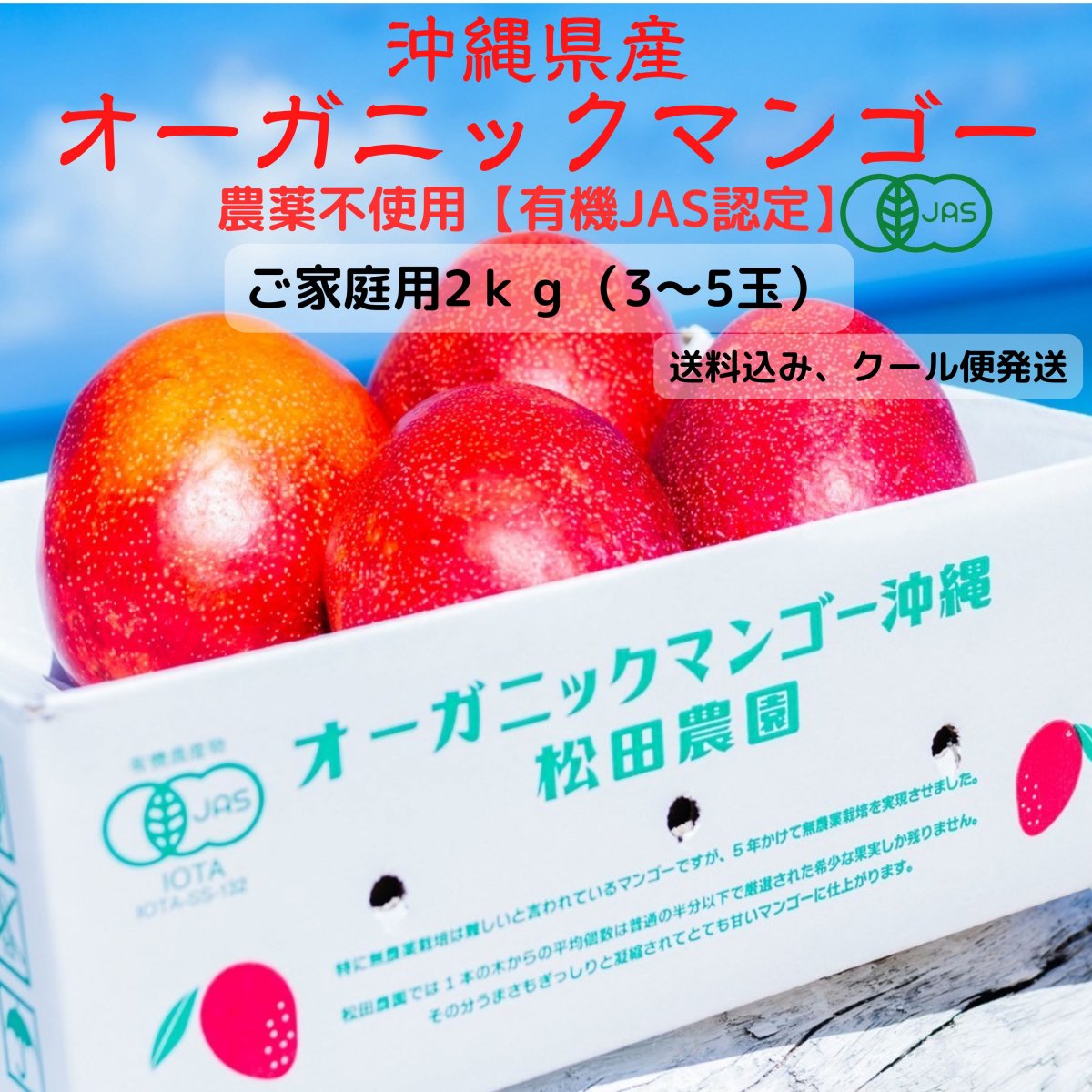 maple　無農薬マンゴー オーガニックマンゴー松田農園