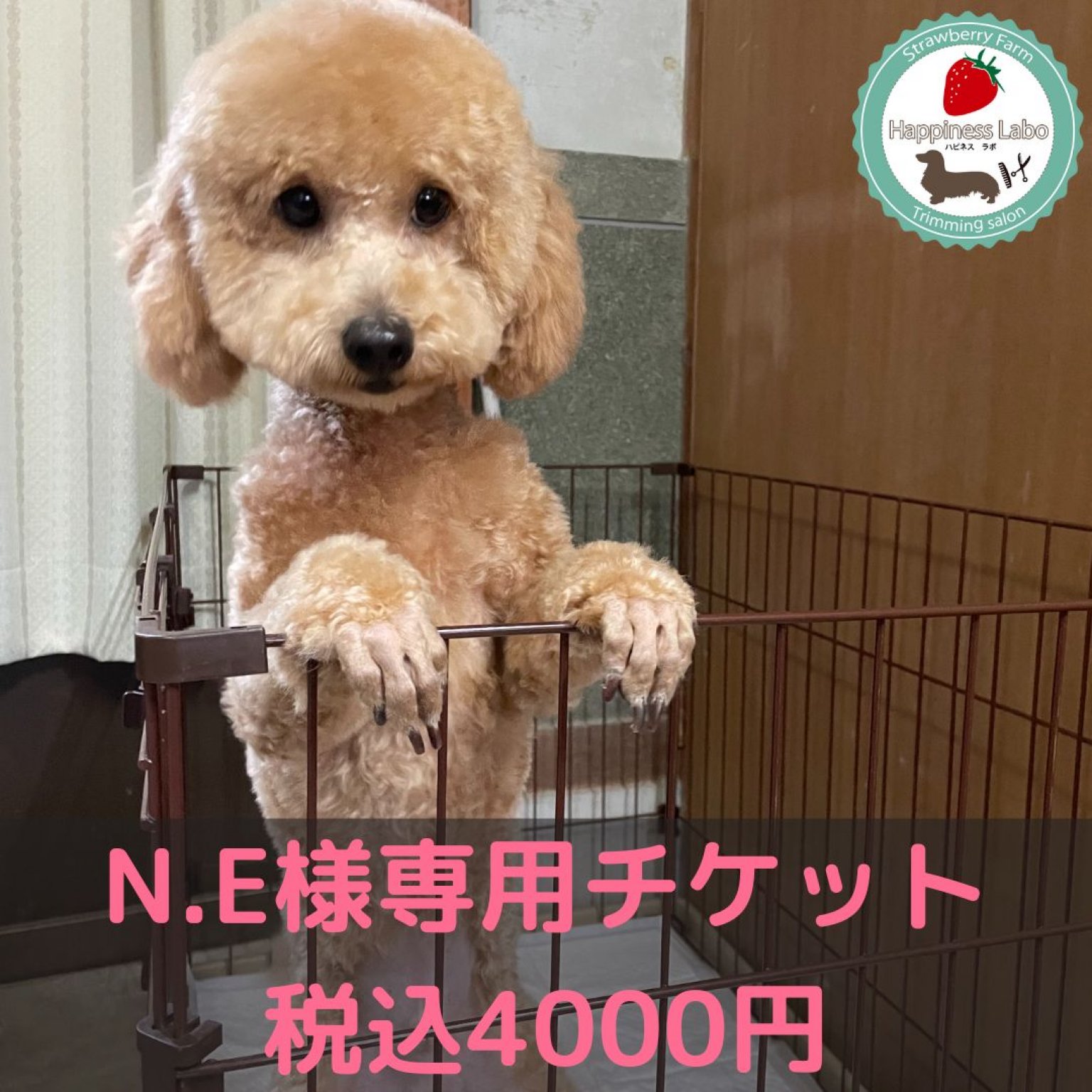N.E様専用　トリミング　チケット