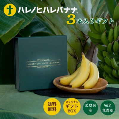 ギフト用　Mサイズ3本入　岐阜県産　甘さ濃厚！　無農薬で丸ごと食べれます！　はれのひはれバナナ