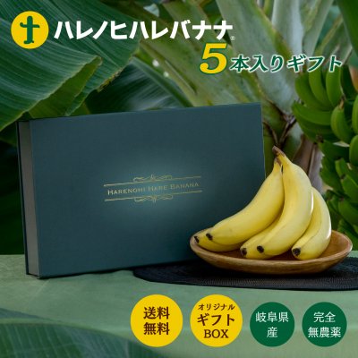 ギフト用　Mサイズ5本入　岐阜県産　甘さ濃厚！　無農薬で丸ごと食べれます！　はれのひはれバナナ
