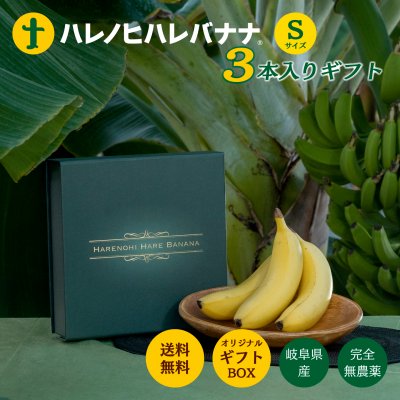 ギフト用　Sサイズ3本入　岐阜県産　甘さ濃厚！　無農薬で丸ごと食べれます！　はれのひはれバナナ