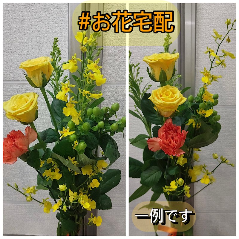 関東地方限定1650円分（送料別）(ポイント付き)のお花セット/Akalapua(アカラプア)