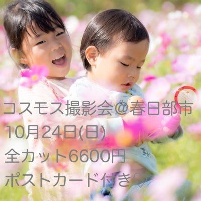 10月24日(日)春日部市コスモス撮影会