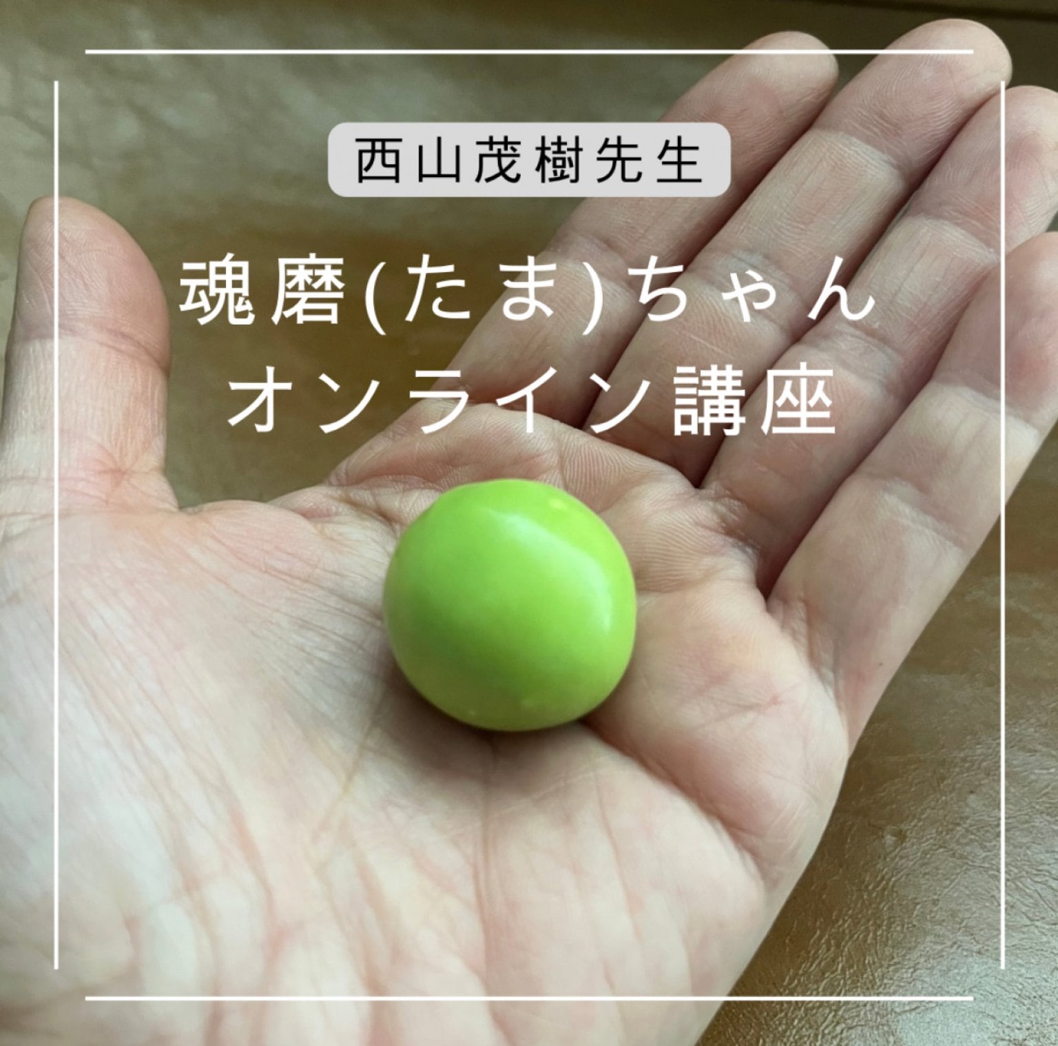 西山茂樹先生による『魂磨（たま）ちゃん』オンライン講座