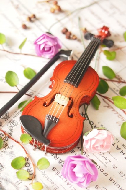 ヴァイオリンとチェロ　二重奏コンサート(ワンドリンク付き)