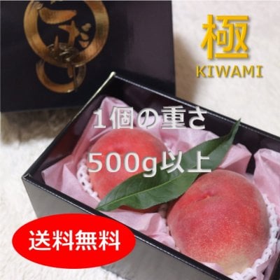 5箱限定【極-KIWAMI】贈答用★予約販売★桃「川中島」和歌山県産　1玉500g以上2個入り