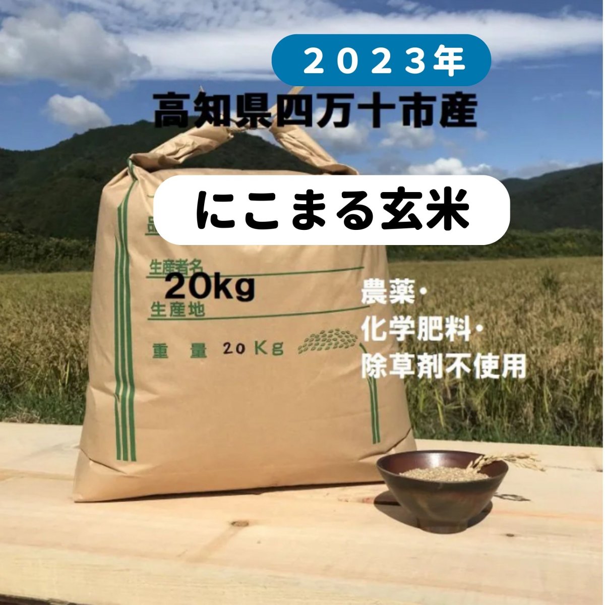 【高ポイント】20キロ 情熱のふくどめ米 2023新米 玄米   にこまる 農薬・化学肥料・除草剤不使用 高知県四万十市産