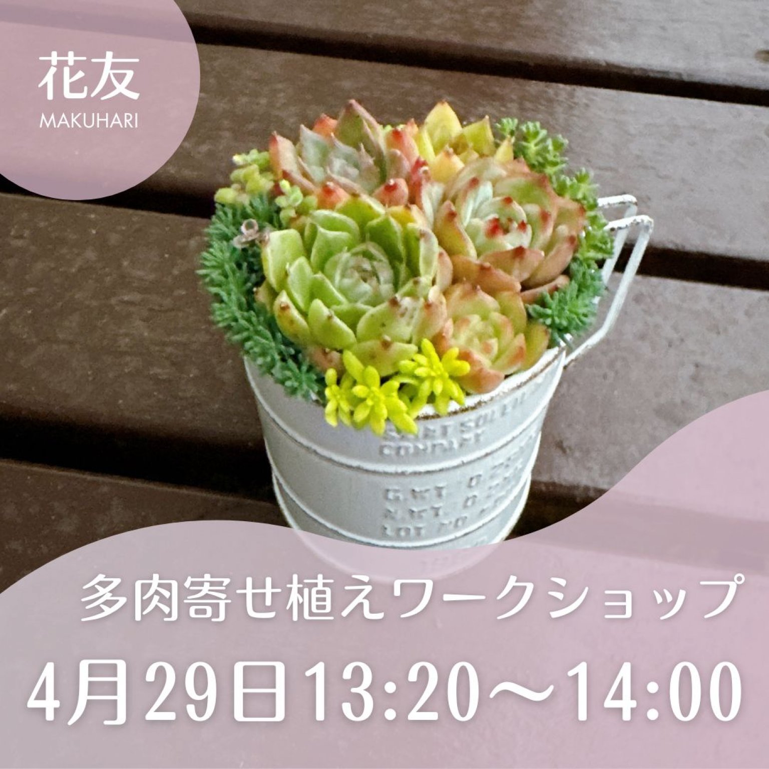 特集商品画像