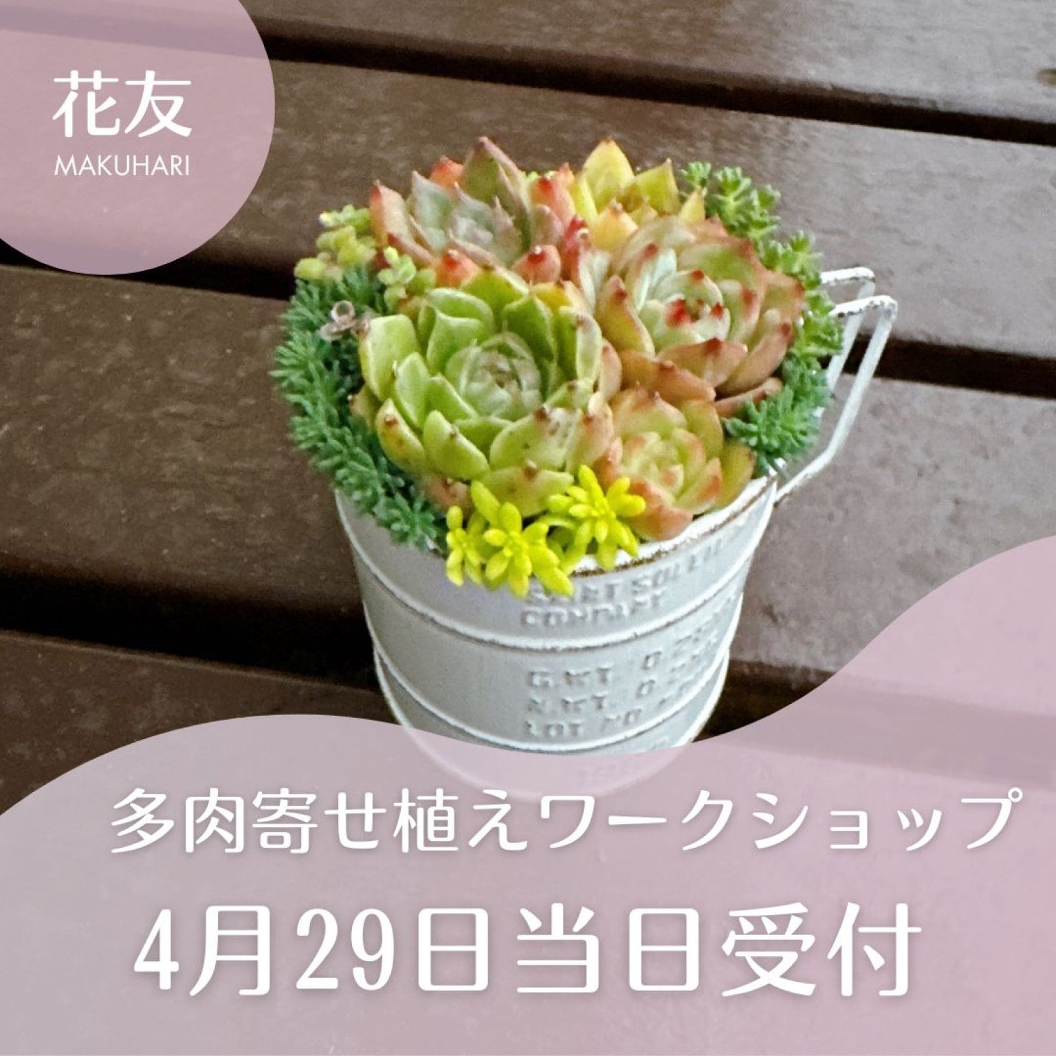 花友フェスタ当日受付「多肉寄せ植えワークショップ」B-9Pikake（ピカケ）