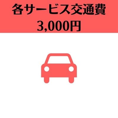 各サービス交通費3,000円