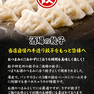 餃子研究所　男餃子、女餃子、肉餃子、3種食べ比べセット！　各12個入り×3パック　合計36個