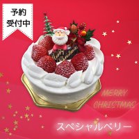 4号（12ｃｍ）スペシャルベリー【クリスマスケーキ予約】