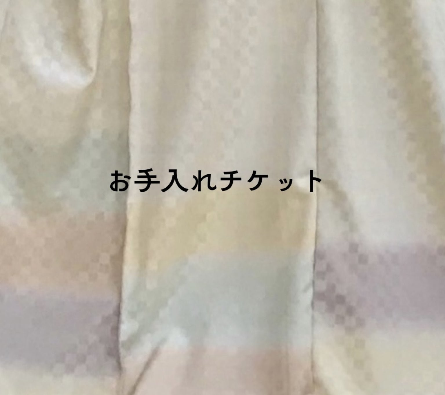 【T様専用】ウェブチケット