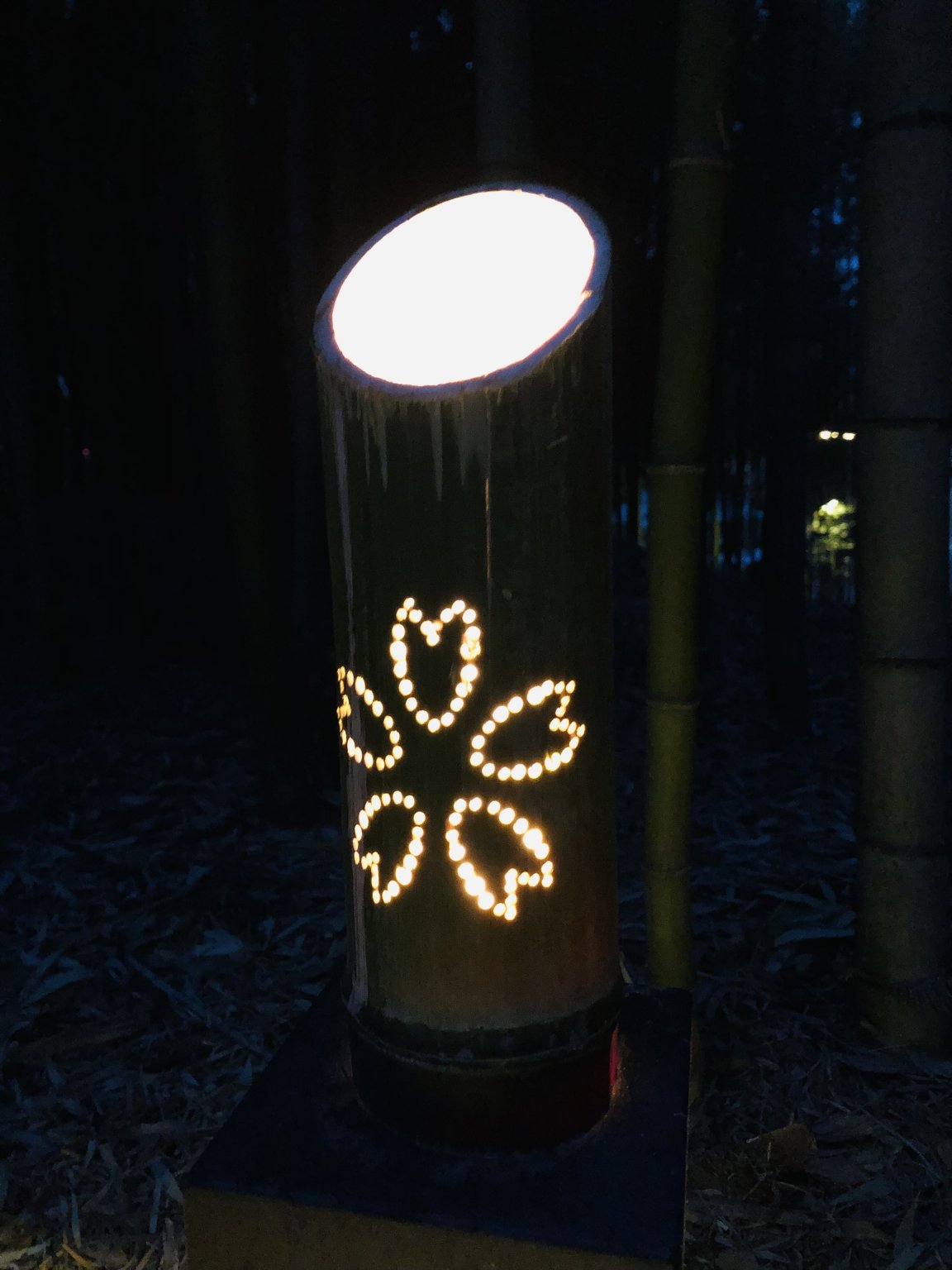 竹灯籠作り体験チケット（LEDライト付き）