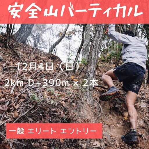 特集商品画像