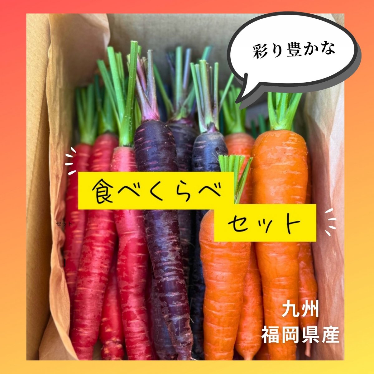 人参食べくらべセット 1.5㎏