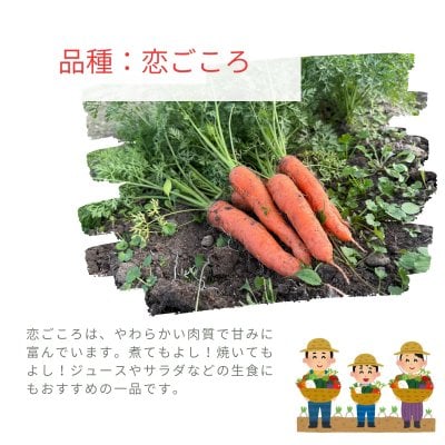 人参食べくらべセット 1.5㎏|楽園彩活まんまる | ツクツク!!!ファーム
