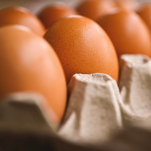 金蔵卵】かねたま10個入り2パック＋【近の鶏卵(とりたまご)】6個