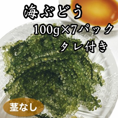 ツクツク!!!通販