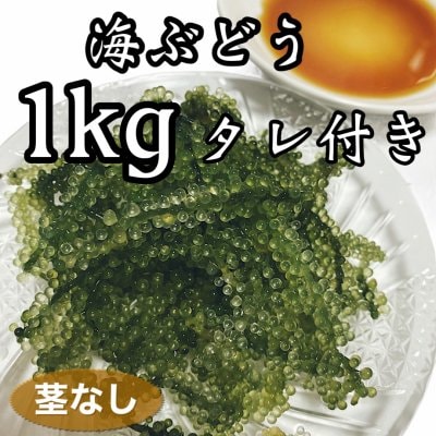 [複製]海ぶどう(茎なし)1kg/タレ付き