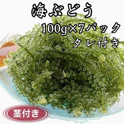 海ぶどう(茎付き)100g×7パック|タレ付き