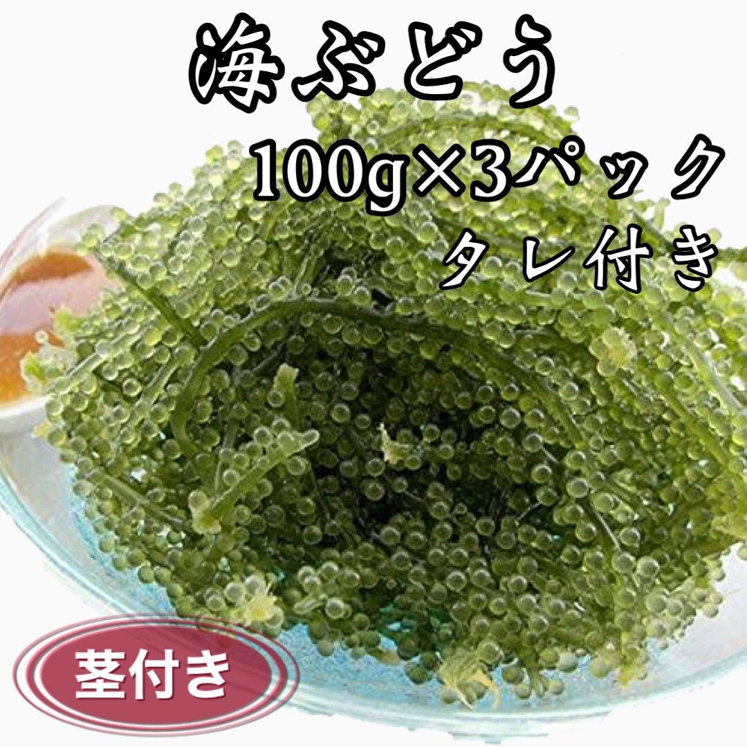 海ぶどう(茎付き)100g×3パック/タレ付き