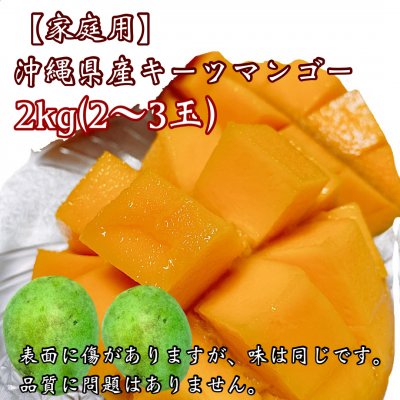 【家庭用2kg】沖縄県産キーツマンゴー(2〜3玉)